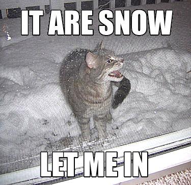 It are snow let me in